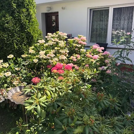 Guest house Pensjonat Victoria