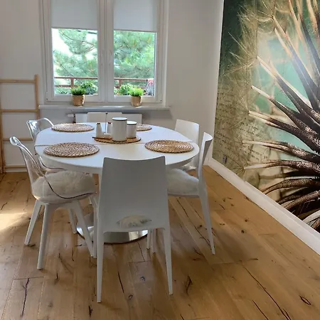 Baltic Sun 80qm Apartment Miedzyzdroje