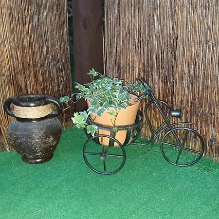 Pokoje U Michala Miedzyzdroje
