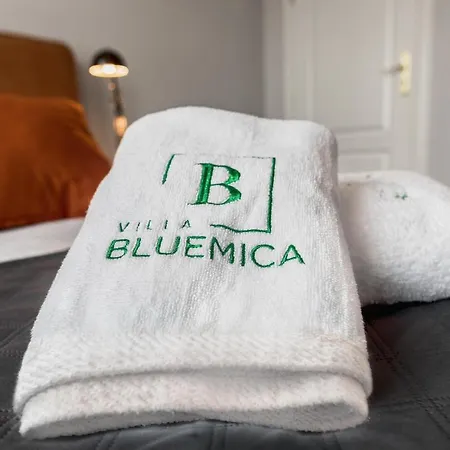 Homestay Bluemica *