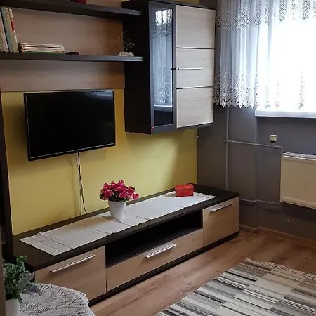 Mieszkanie Wakacyjne Apartment