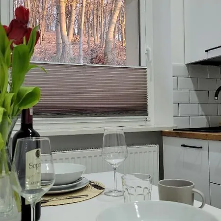 Apartment Sea&forest Miedzyzdroje