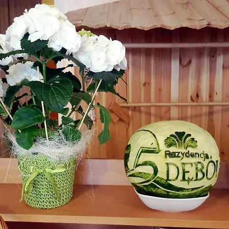 Bed & Breakfast 5 Debow 3*