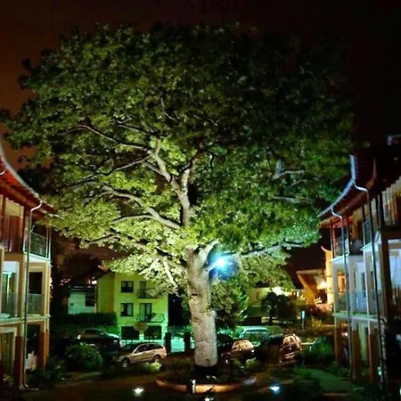 5 Debow Bed & Breakfast 3*