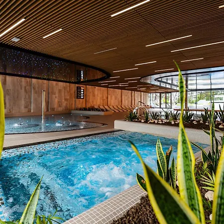 Wave Club