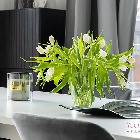 Your Holidays Golden Tulip Apartment Misdroy