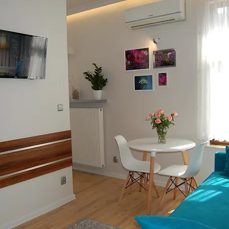 Star Homestay *