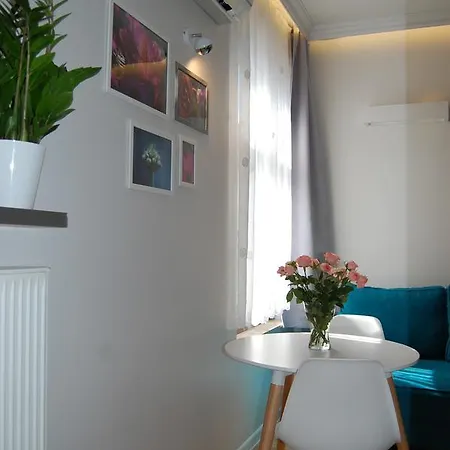Star Homestay