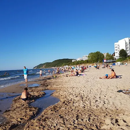 Osrodek Wczasowy Zloty Dab - Holiday park