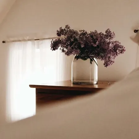 Kamienica Sporting Bed & Breakfast *