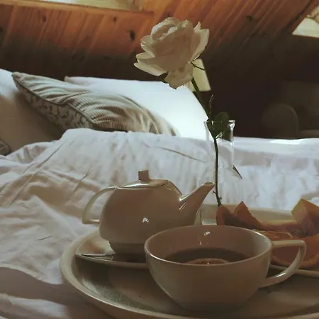 Bed & Breakfast Kamienica Sporting *