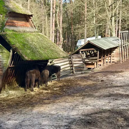 Zacisze1 I Zacisze2 * Miedzyzdroje